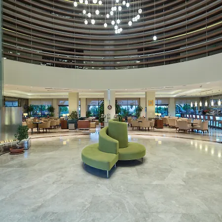 リゾート Blue Only Adult 16 シダ