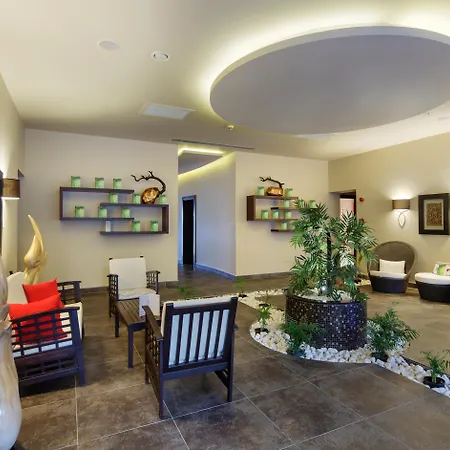 リゾート Blue Only Adult 16 シダ