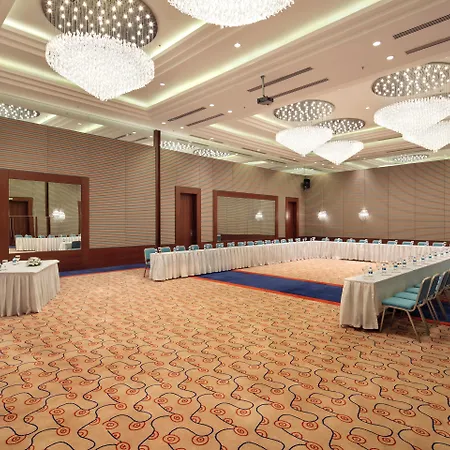 Blue Only Adult 16 シダ