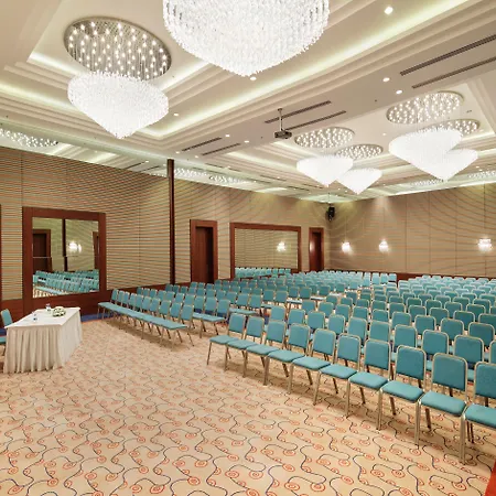 Blue Only Adult 16 シダ