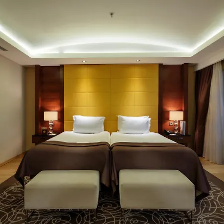 Blue Only Adult 16 シダ