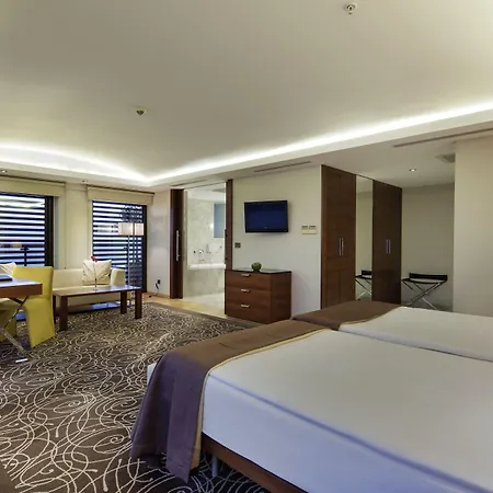 Blue Only Adult 16 シダ