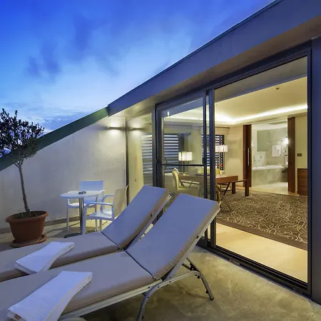 Blue Only Adult 16 シダ