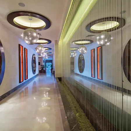 Blue Only Adult 16 5*