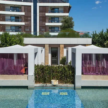 Blue Only Adult 16 5*