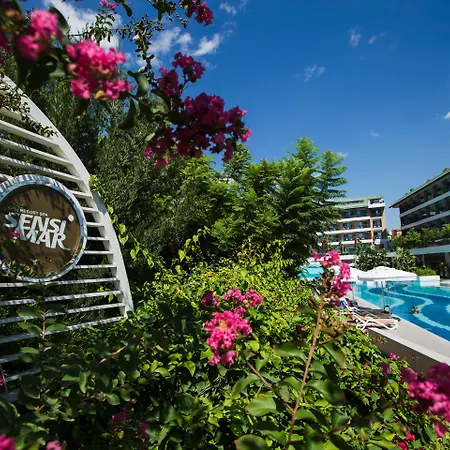 Blue Only Adult 16 5*