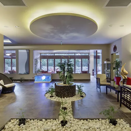 Resort Blue Only Adult 16 Side