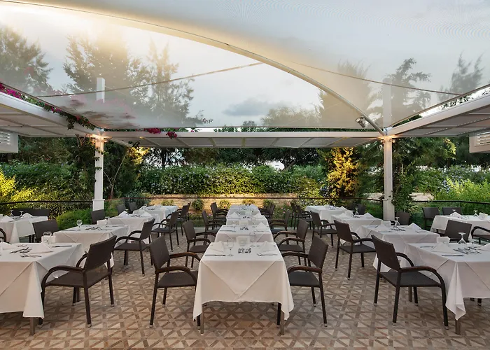 Blue Only Adult 16 5*